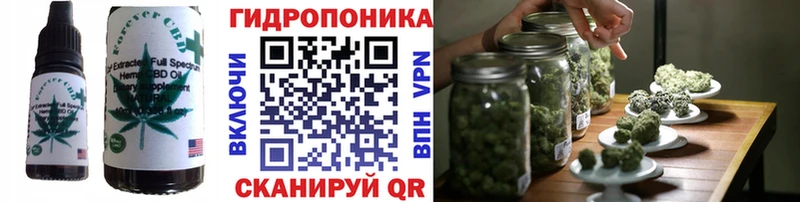 Canna-Cookies конопля  Сосновый Бор 